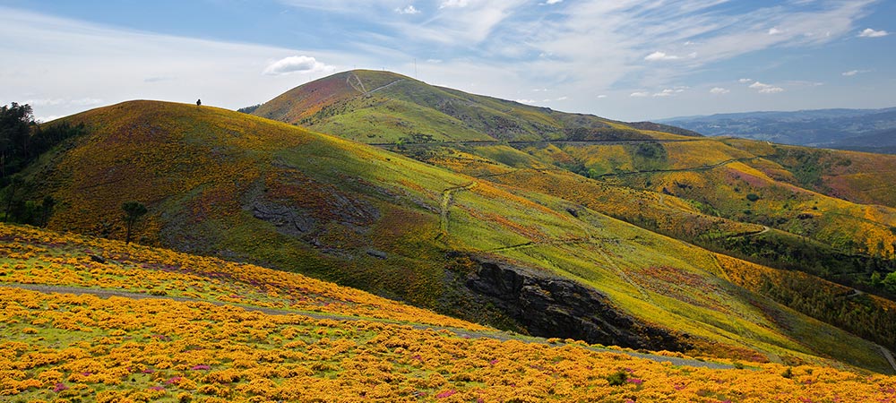 Serra do Marão