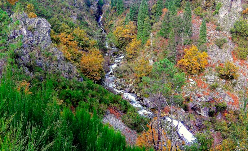 Natureza pura em Cabeceiras de Basto