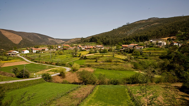 A natureza de Mortágua