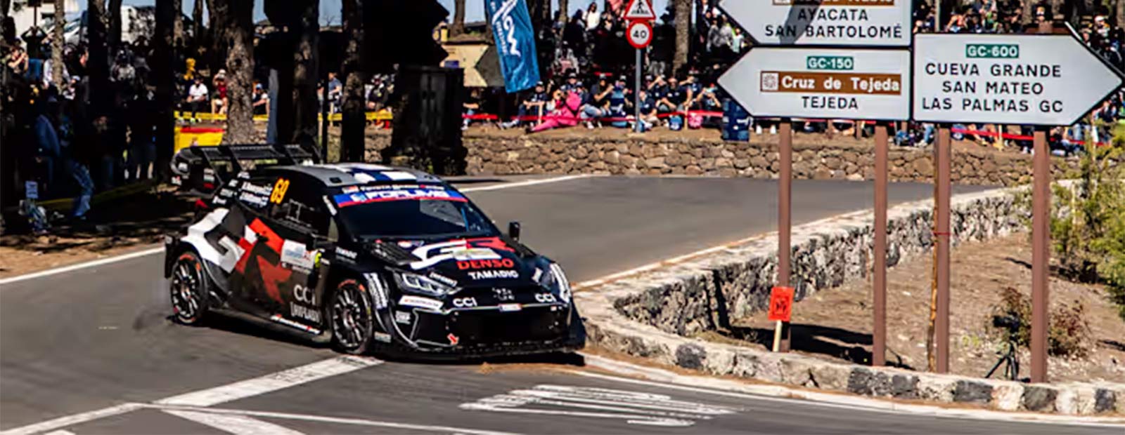 Rally-de-Portugal-analise-canarias-detalhe-2025