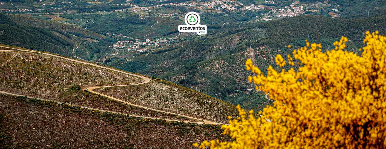 Rally-de-Portugal-noticia-ecodrive-detalhe-2025