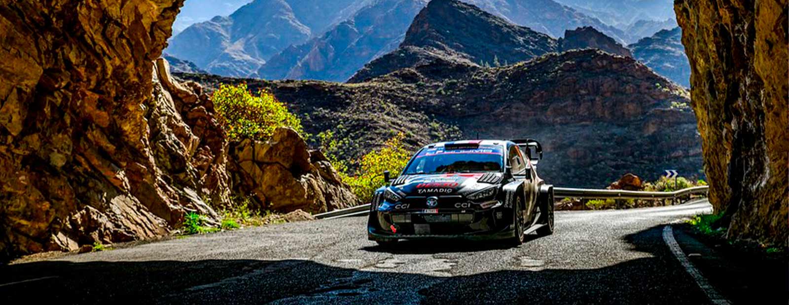 Rally-de-Portugal-noticia-numeros-detalhe-2025