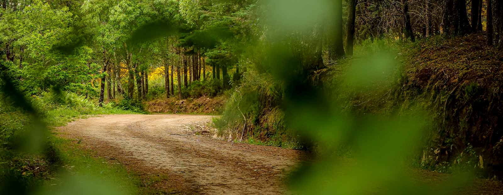 Rally-de-Portugal-noticia-sustentabilidade-detalhe-2025