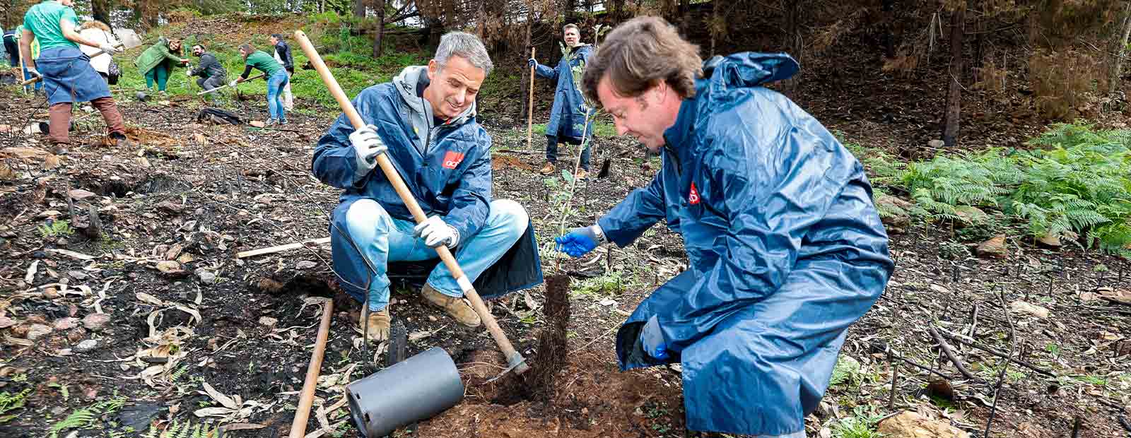 Rally-de-Portugal-detalhe-ambiente-2026